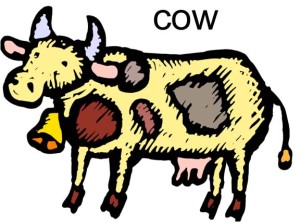 cow